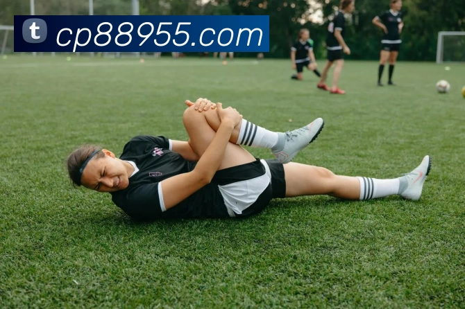 大发彩票网品牌故事